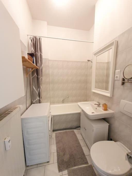 2 Room Apartment Near Station Neustadt In Dresden Neustadt Eksteriør bilde